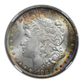 1882-CC Morgan Dollar $1 NGC MS64 - TONED!