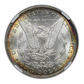 1882-CC Morgan Dollar $1 NGC MS64 - TONED!