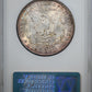 1888 Morgan Dollar $1 NGC Fatty MS64 - TONED! Reverse Slab