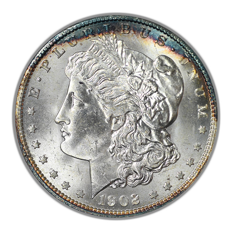 1902-O Morgan Dollar $1 NGC Fatty MS64 CAC - TONED!