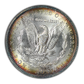1902-O Morgan Dollar $1 NGC Fatty MS64 CAC - TONED!