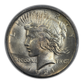 1921 High Relief Peace Dollar $1 PCGS MS63 Obverse