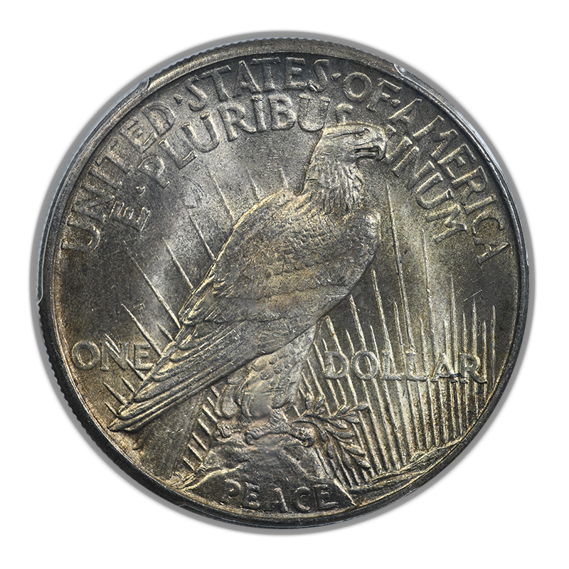 1921 High Relief Peace Dollar $1 PCGS MS63 Reverse