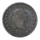 1795 Flowing Hair Dollar $1 PCGS F12 - 3 Leaves