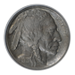 1913-S Type 2 Buffalo Nickel 5C NGC AU55