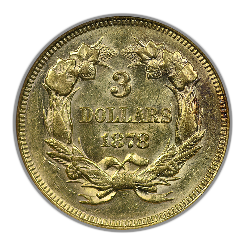 1878 Indian Princess Gold Three Dollar Piece $3 NGC Fatty AU58