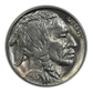 1937-S Buffalo Nickel 5C PCGS MS64 OGH Obverse