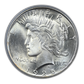 1925 Peace Dollar $1 PCGS MS66 CAC OGH