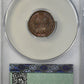1884 Indian Head Cent 1C CAC MS66BN Reverse Slab