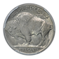 1913-S Type 2 Buffalo Nickel 5C PCGS MS62