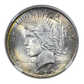 1922 Peace Dollar $1 NGC MS63 CAC - TONED!