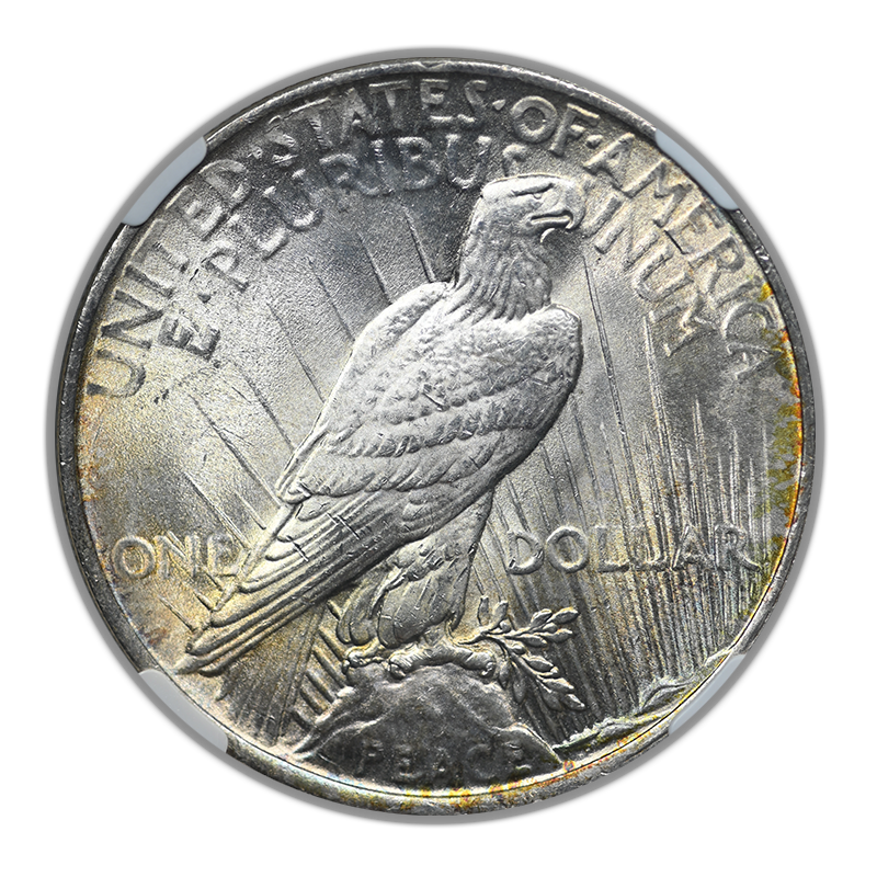 1922 Peace Dollar $1 NGC MS63 CAC - TONED!