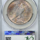 1925 Peace Dollar $1 CAC MS62 - TONED!