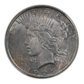 1925 Peace Dollar $1 CAC MS62 - TONED!