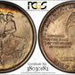 1925 Stone Mountain Classic Commemorative Half Dollar 50C PCGS MS66 - TONED! Trueview