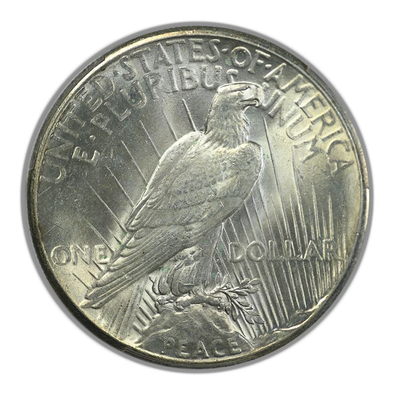 1928 Peace Dollar $1 PCGS MS62 Reverse