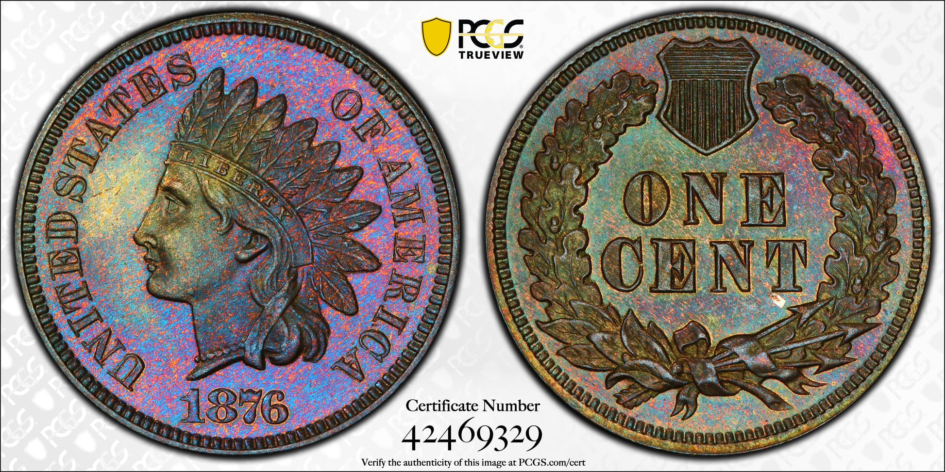 1876 Proof Bronze Indian Head Cent 1C PCGS PR64BN CAC - TONED!