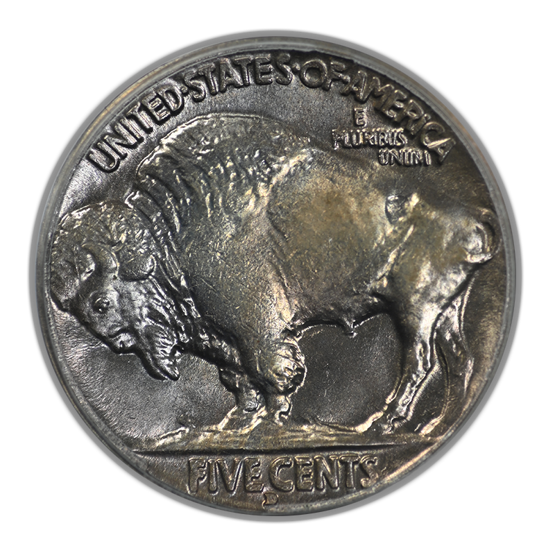 1934-D Buffalo Nickel 5C PCGS MS64 OGH Reverse