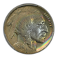 1934-D Buffalo Nickel 5C PCGS AU53 - TONED!