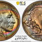 1934-D Buffalo Nickel 5C PCGS AU53 - TONED!