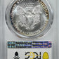 1987 American Silver Eagle $1 PCGS MS69 - TONED!
