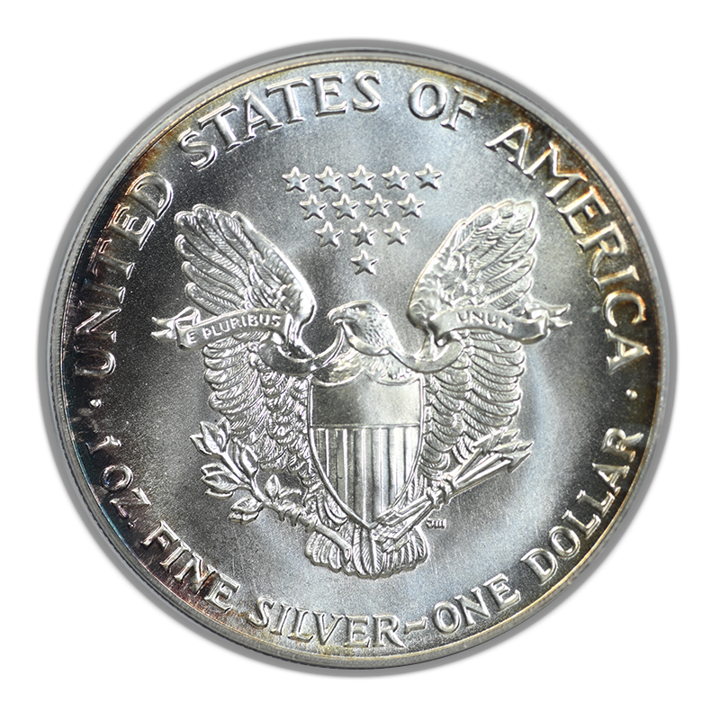 1987 American Silver Eagle $1 PCGS MS69 - TONED!