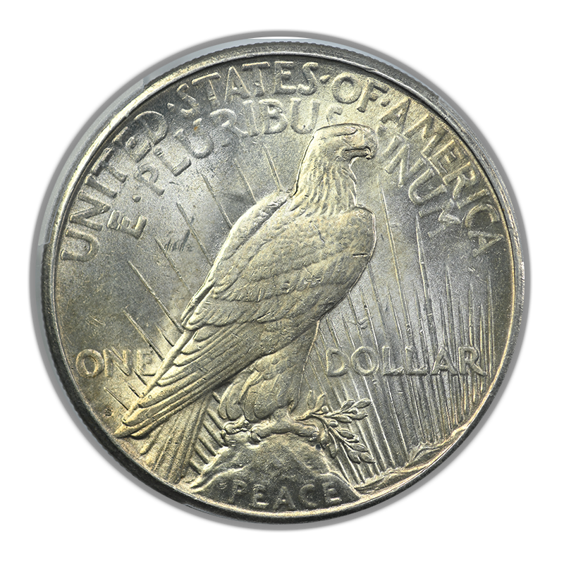 1924-S Peace Dollar $1 PCGS MS61 Reverse