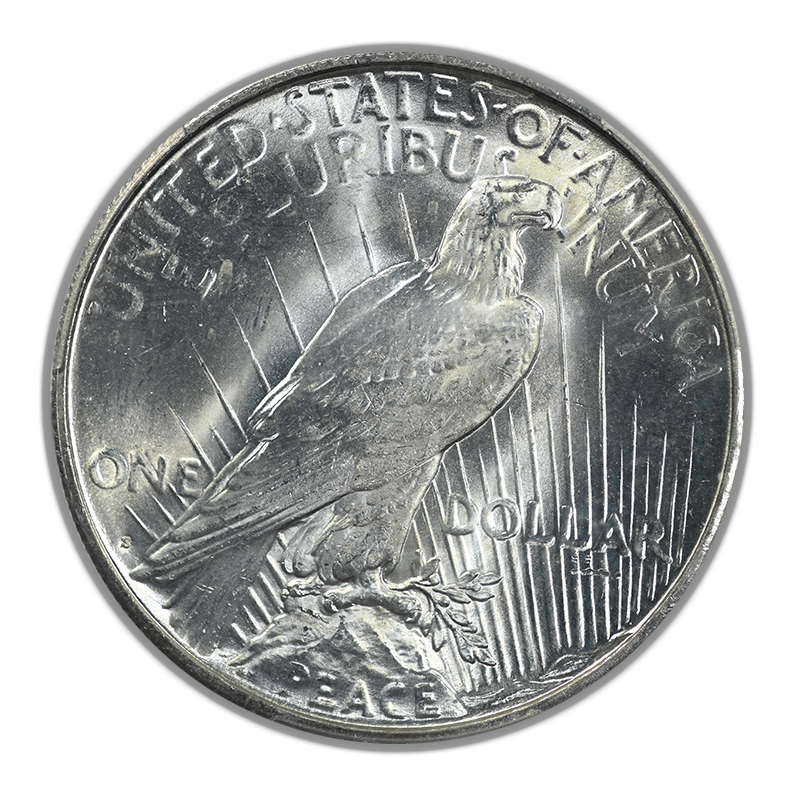 1923-S Peace Dollar $1 PCGS MS64 Reverse