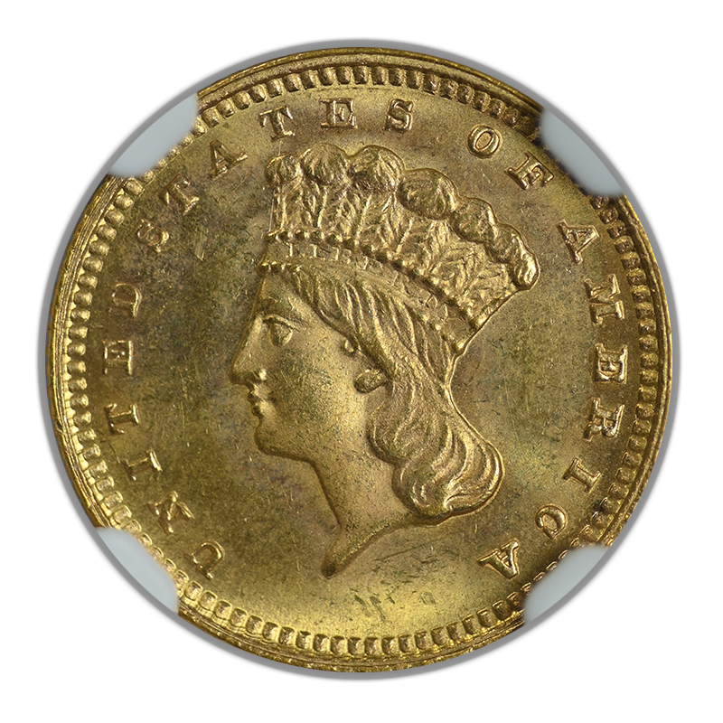 1881 Type 3 Indian Princess Head Gold Dollar G$1 NGC MS65 Obverse