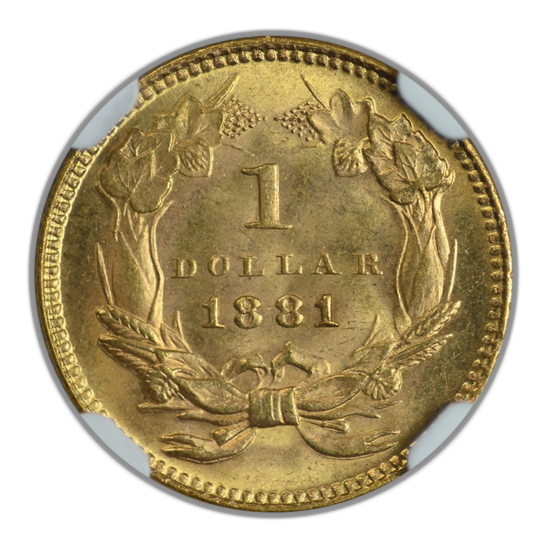1881 Type 3 Indian Princess Head Gold Dollar G$1 NGC MS65 Reverse