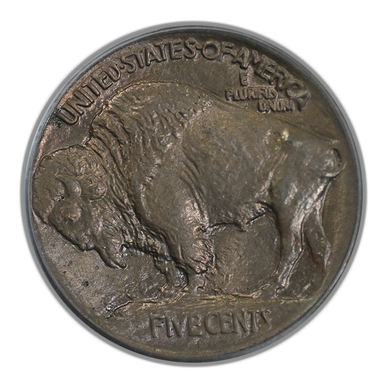 1913-S Type 1 Buffalo Nickel 5C PCGS MS64 CAC OGH Reverse 