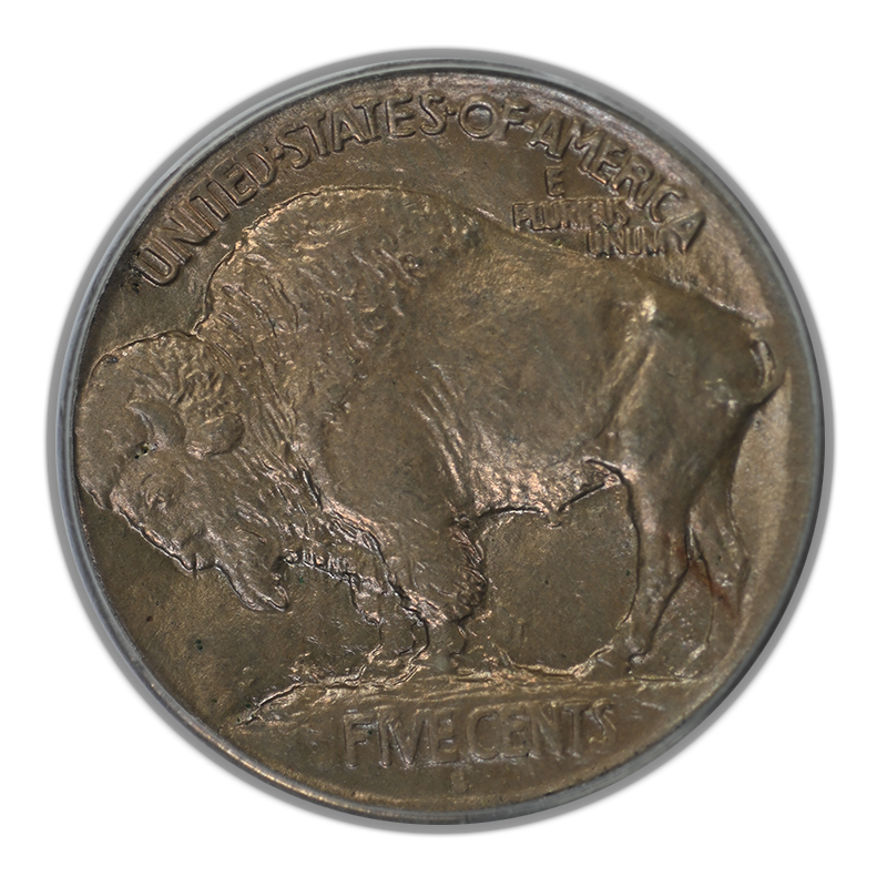 1913-S Type 1 Buffalo Nickel 5C PCGS MS64 CAC OGH Reverse 