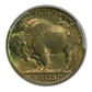 1938-D Buffalo Nickel 5C PCGS MS67+ - TONED! Reverse