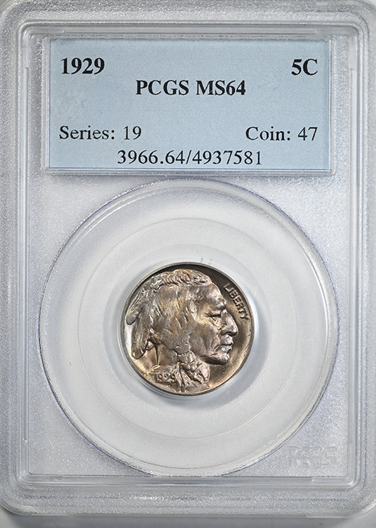 1929 Buffalo Nickel 5C PCGS MS64 Obverse Slab