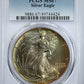 1995 American Silver Eagle $1 PCGS MS67 - TONED! Obverse Slab