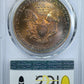 1995 American Silver Eagle $1 PCGS MS67 - TONED! Reverse Slab