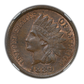 1889 Indian Head Cent 1C NGC MS65+ CAC