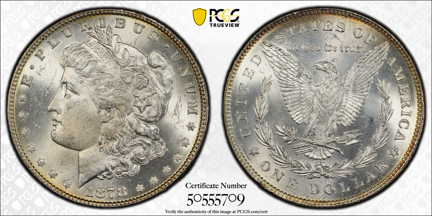 1878 7/8TF Morgan Dollar $1 PCGS MS64 - Weak