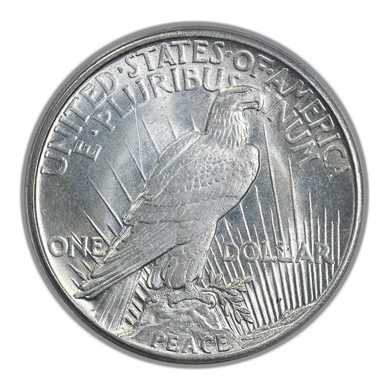 1921 Peace Dollar $1 ANACS MS61 Reverse