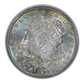 1881-S Morgan Dollar $1 PCGS Rattler MS65 CAC - TONED!