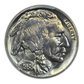 1938-D Buffalo Nickel 5C PCGS MS66 Gold CAC