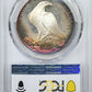 1984-S Proof Olympic Commemorative Silver Dollar $1 PCGS PR68DCAM Deep Cameo - TONED!