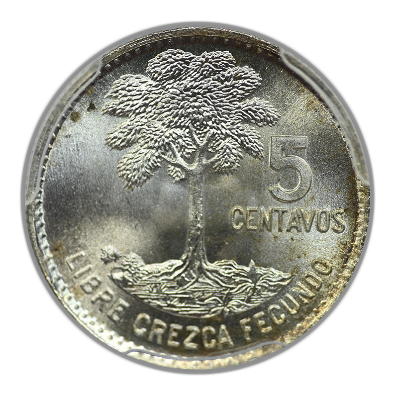 1964 Guatemala 5C Centavos PCGS MS67