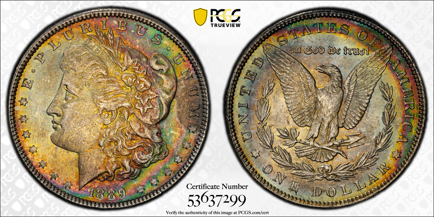 1889 Morgan Dollar $1 PCGS MS64 - TONED!