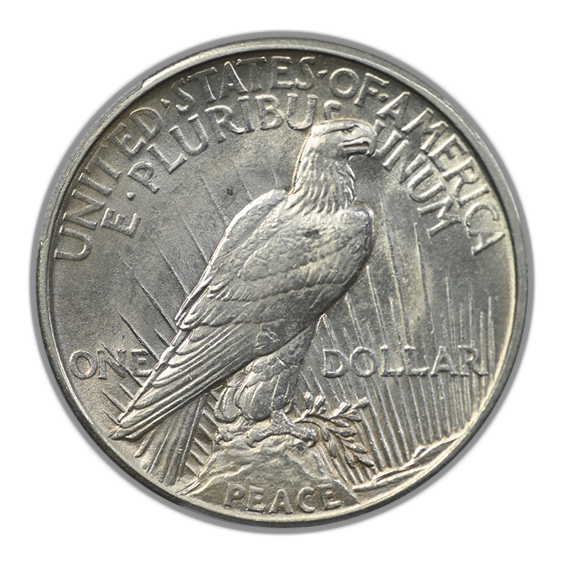 1921 Peace Dollar $1 PCGS MS62