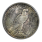 1923-D Peace Dollar $1 PCGS MS64