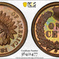 1881 Proof Indian Head Cent 1C PCGS PR65BN - TONED!