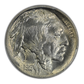 1913 Type 1 Buffalo Nickel 5C PCGS MS66