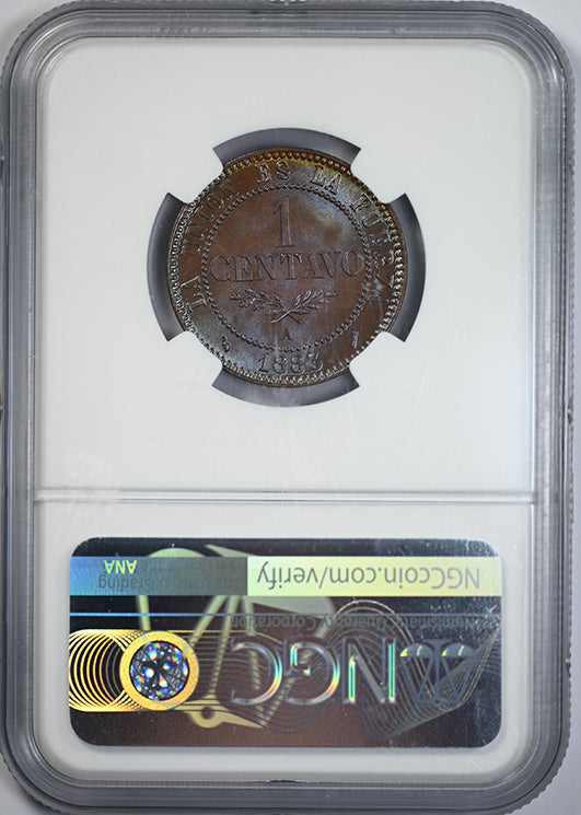 1883 A Bolivia 1C Centavo NGC MS65BN - TONED! Reverse Slab