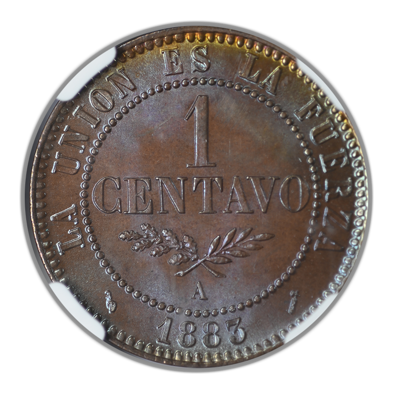 1883 A Bolivia 1C Centavo NGC MS65BN - TONED! Reverse